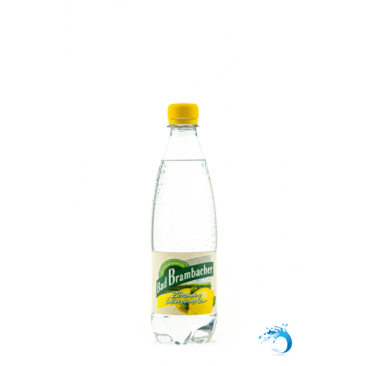 20 Flaschen ~ Bad Brambacher Zitronen Limonade