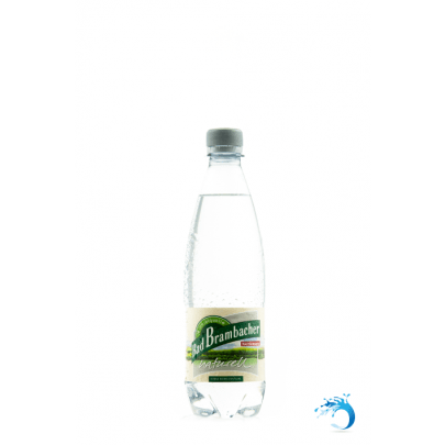 20 Flaschen ~ Bad Brambacher naturell ~ natürliches Mineralwasser