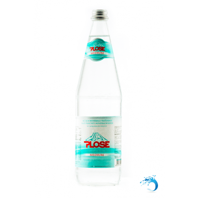 12 Flaschen ~ PLOSE medium 1,0 L natürliches Mineralwasser inkl. Pfand