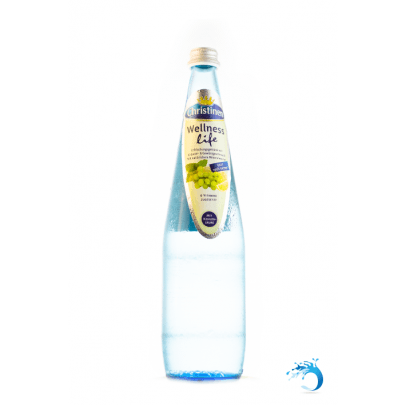12 Flaschen ~ CHRISTINEN Wasser WELLNESS life 6 Vitamine