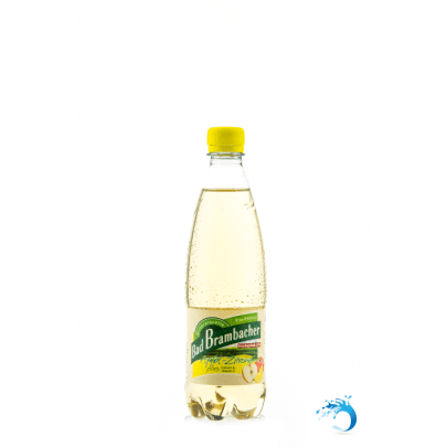 20 Flaschen ~ Bad Brambacher Apfel - Zitrone plus Lemon Calcium & Vitamin C
