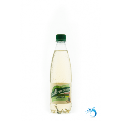 20 Flaschen ~ Bad Brambacher Balance ~ natürliches Mineralwasser